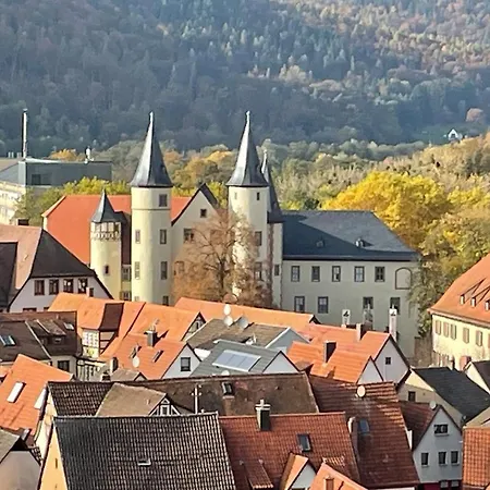 Wohnen Im Springerhof 公寓 Lohr