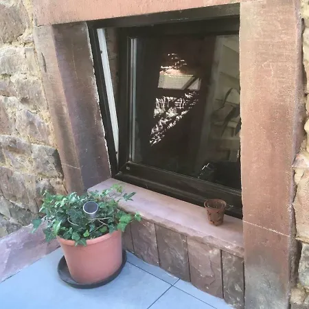 公寓 Wohnen Im Springerhof *