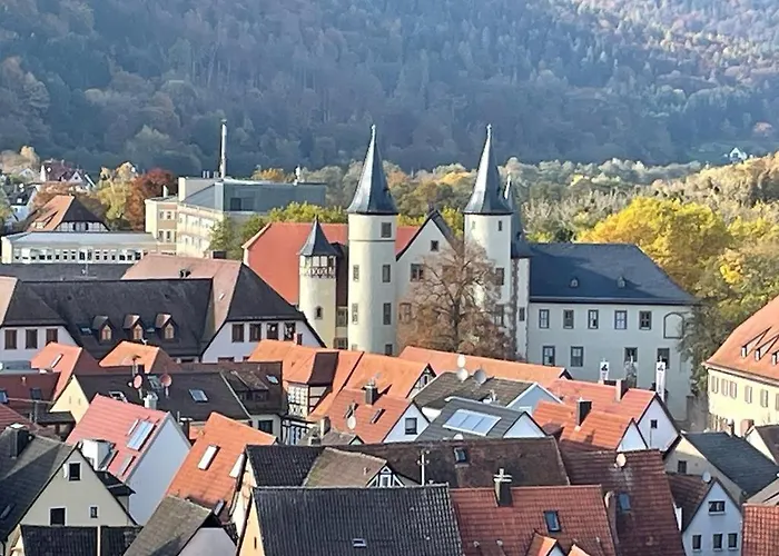 Wohnen Im Springerhof Lohr