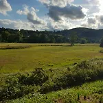 Wohnen Im Springerhof Lägenhet Lohr