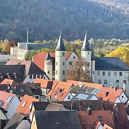 Wohnen Im Springerhof Lohr