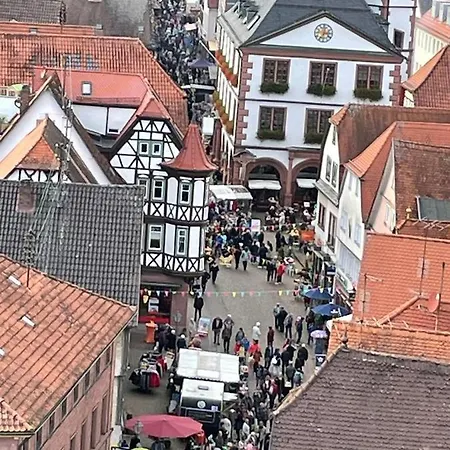 Апартаменты Wohnen Im Springerhof Lohr am Main