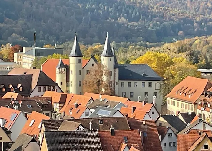 Wohnen Im Springerhof Lejlighed Lohr